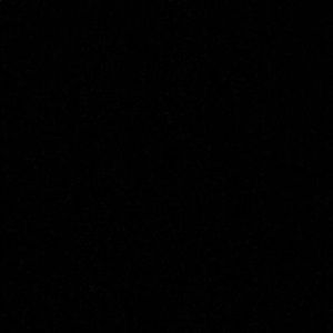 Meet your Posher, Belle